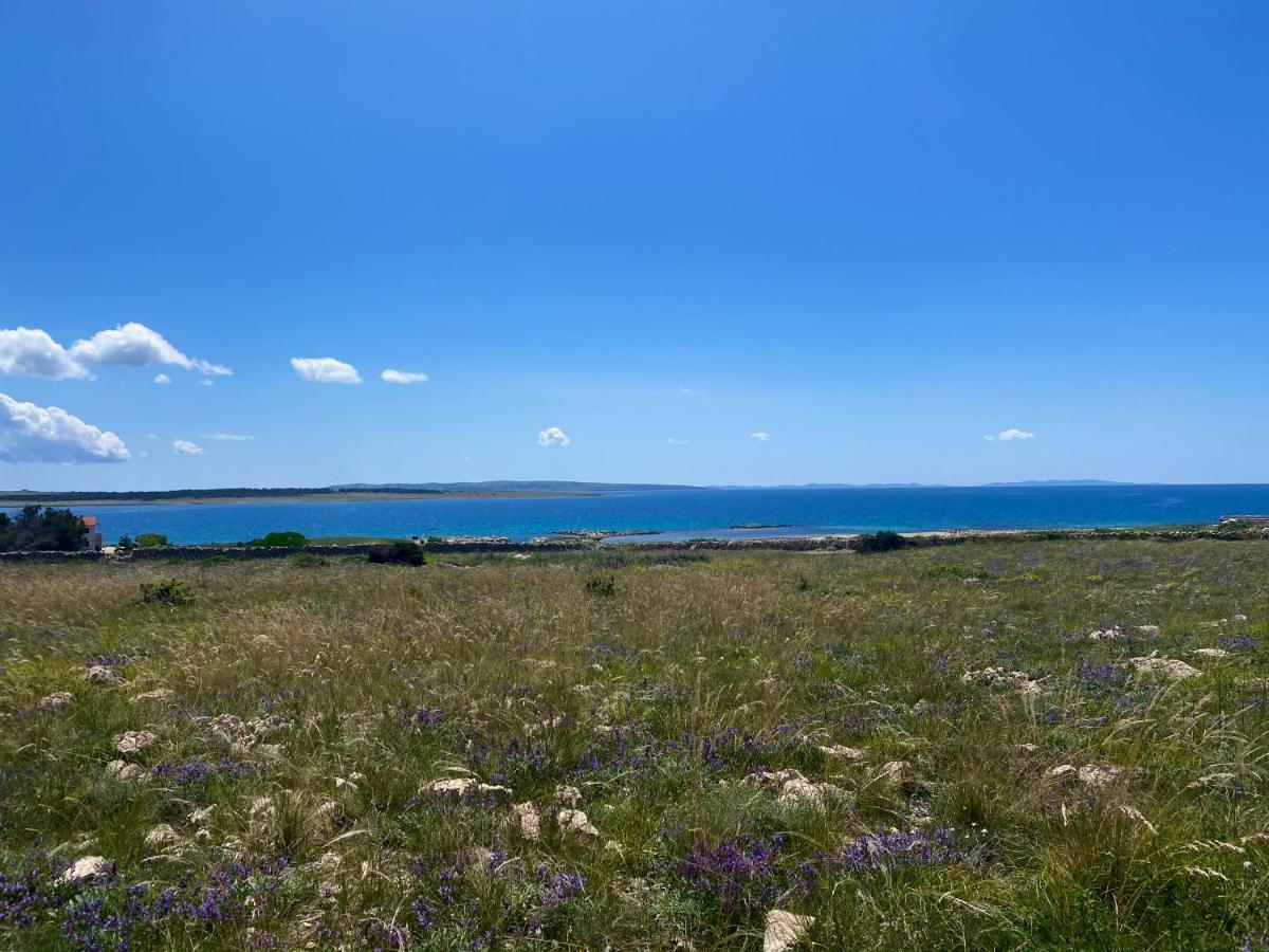 פובליאנה Villa Cvita מראה חיצוני תמונה